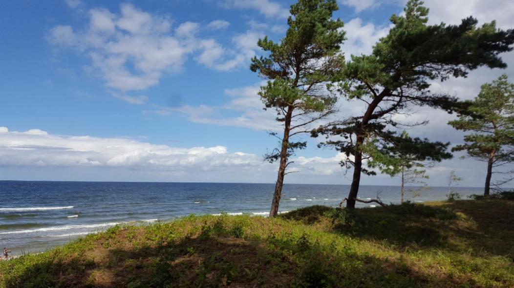 Wiselka Holiday House-1,2Km To The Beach; 5 Bedrooms, 3 Bahrooms; Fire Place. Private Sauna! Exterior foto